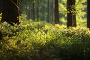Read more about the article Konsultacje dla maturzystów korekta